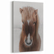Winter Horse Portrait - Rustic Farmhouse Animal Art
