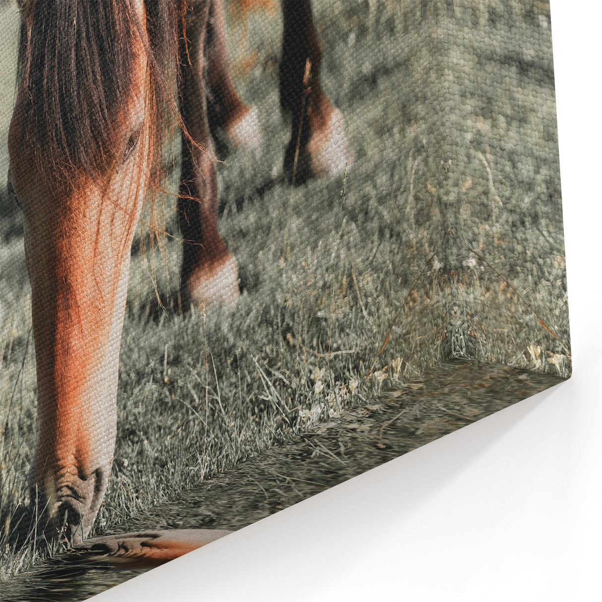 Farmhouse Wall Art: Horses Grazing in Field - Rustic Country Decor