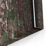 Rustic Wall Art - Camouflaged Nature Scene for Farmhouse Decor