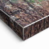 Rustic Wall Art - Camouflaged Nature Scene for Farmhouse Decor