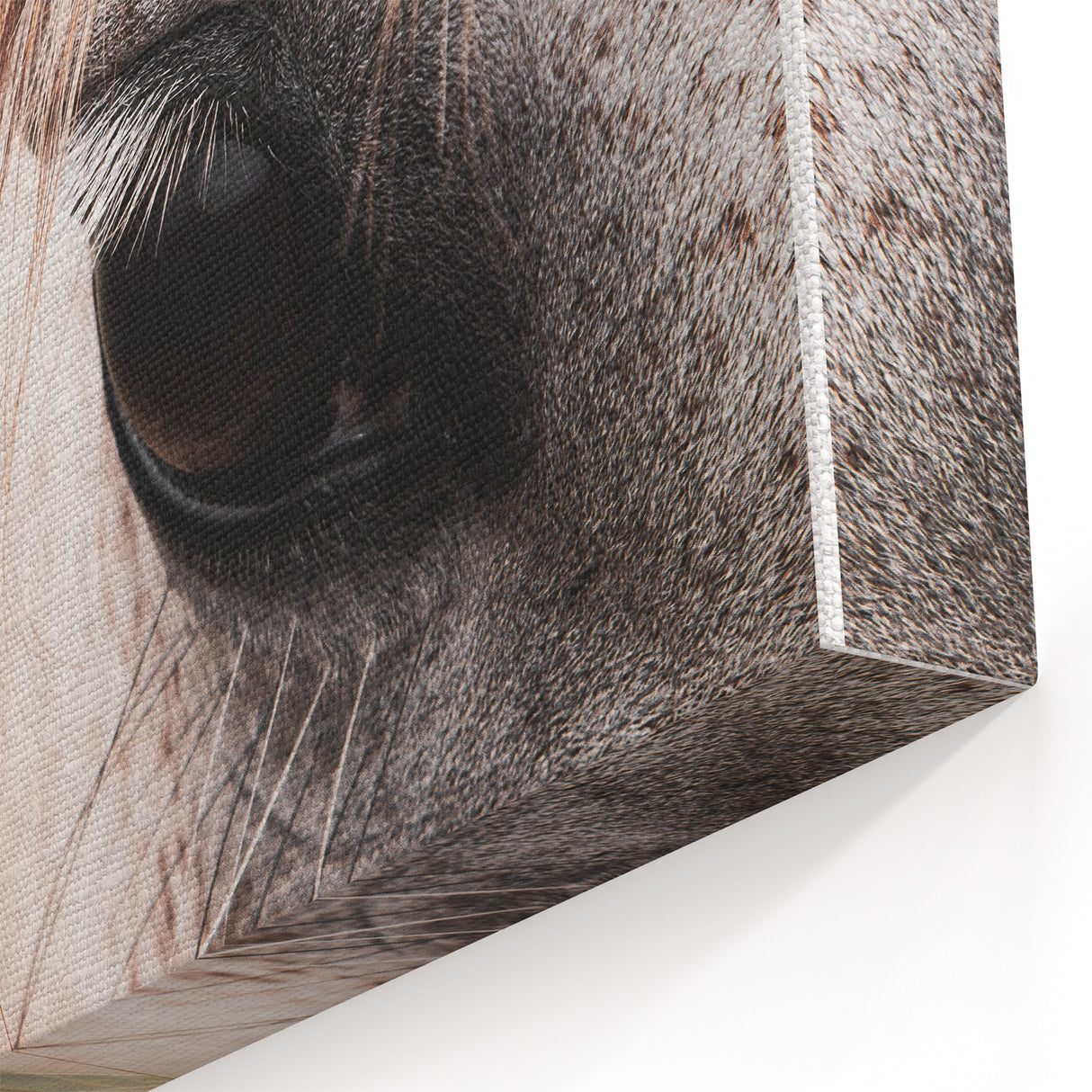 Rustic Wall Art - Horse Close-Up Farmhouse Decor for Rustic Homes