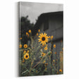 Rustic Wall Art - Sunflower Bloom Farmhouse Decor for Rustic Homes