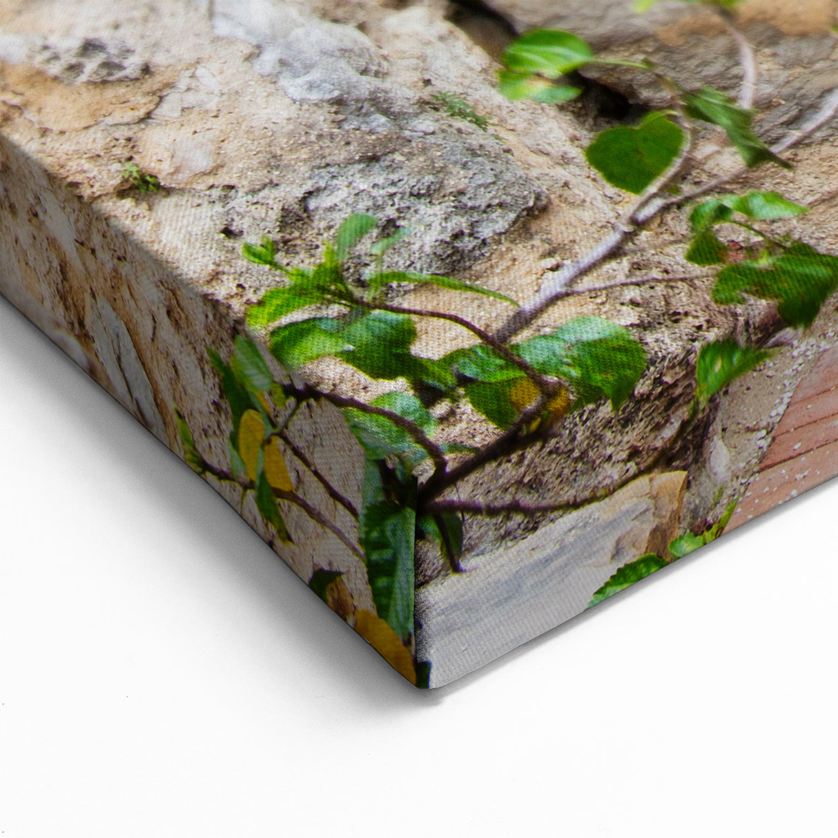 Alamo Artwork - Texas Historic Landmarks Scenic San Antonio Canvas Art