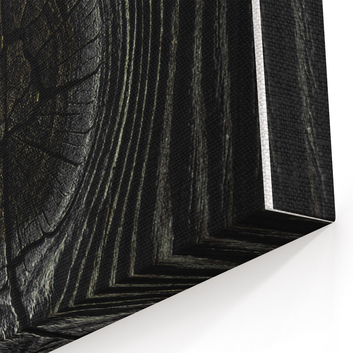 Rustic Wall Art - Tree Wood Grain Farmhouse Decor for Rustic Homes