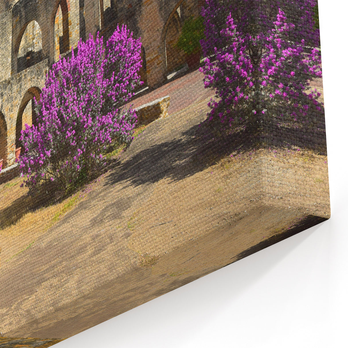San Antonio Wall Art - Historic Mission Landmark Texas Canvas Print