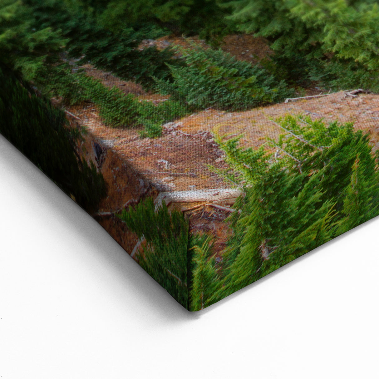 Oregon’s Crater Lake Wall Decor - Bright View of Wizard Island