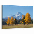Mount Hood Framed Art Prints - Autumn Trees and Snowy Mountain Scene