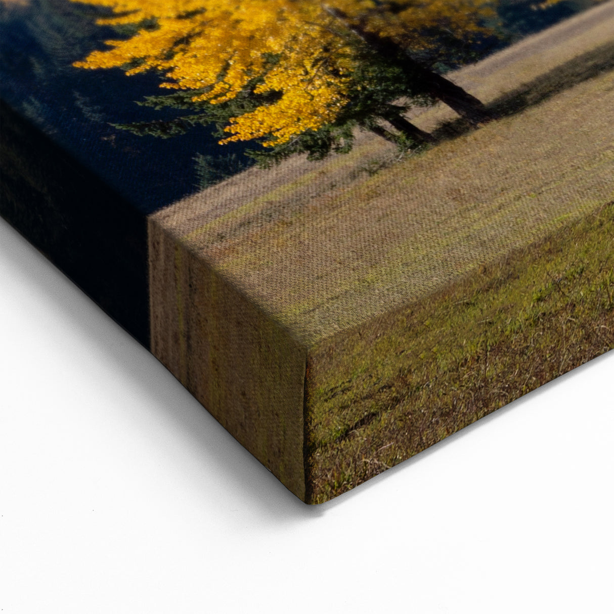 Mount Hood Framed Art Prints - Autumn Trees and Snowy Mountain Scene