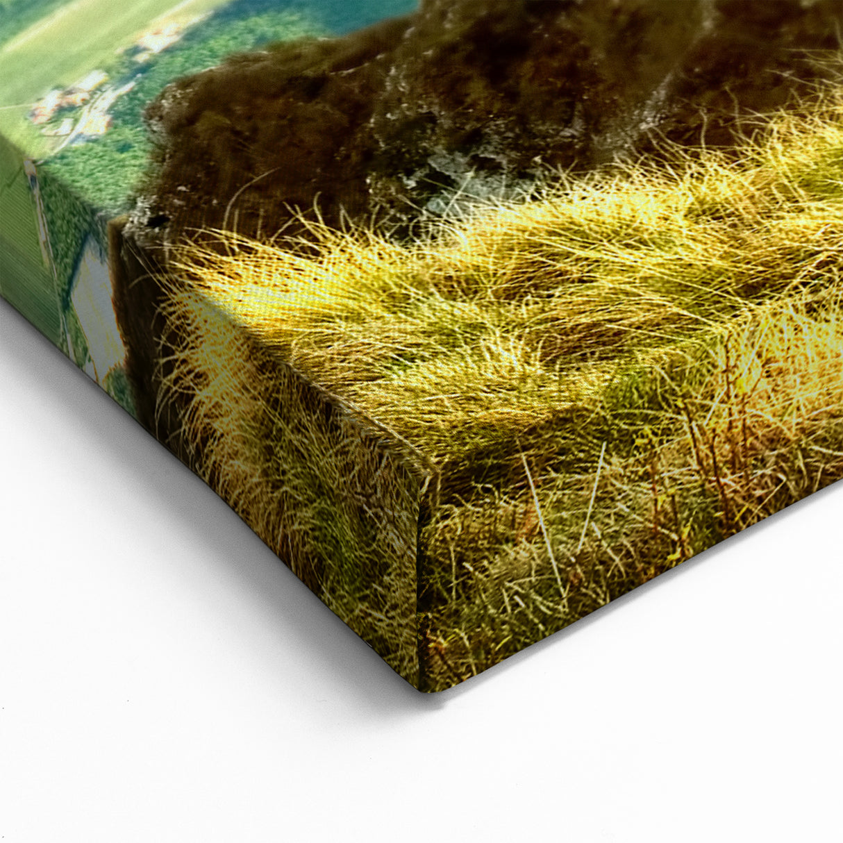 Romania Wall Art - Carpathian Mountains Landscape on Canvas Print