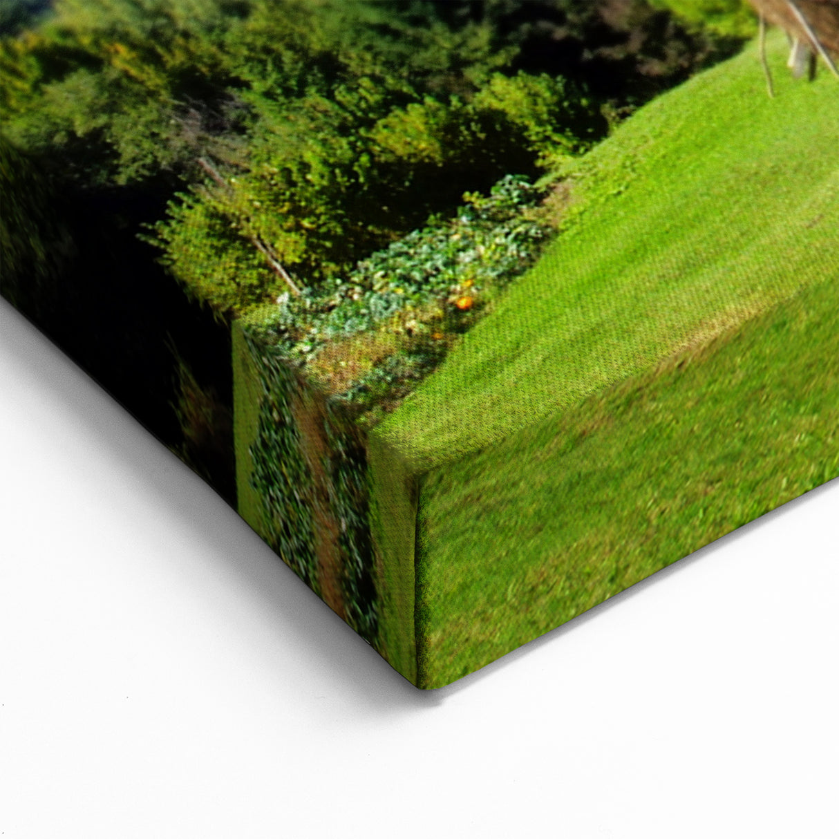 Transylvania Landscape Prints - Stunning Lake View Romanian Wall Art