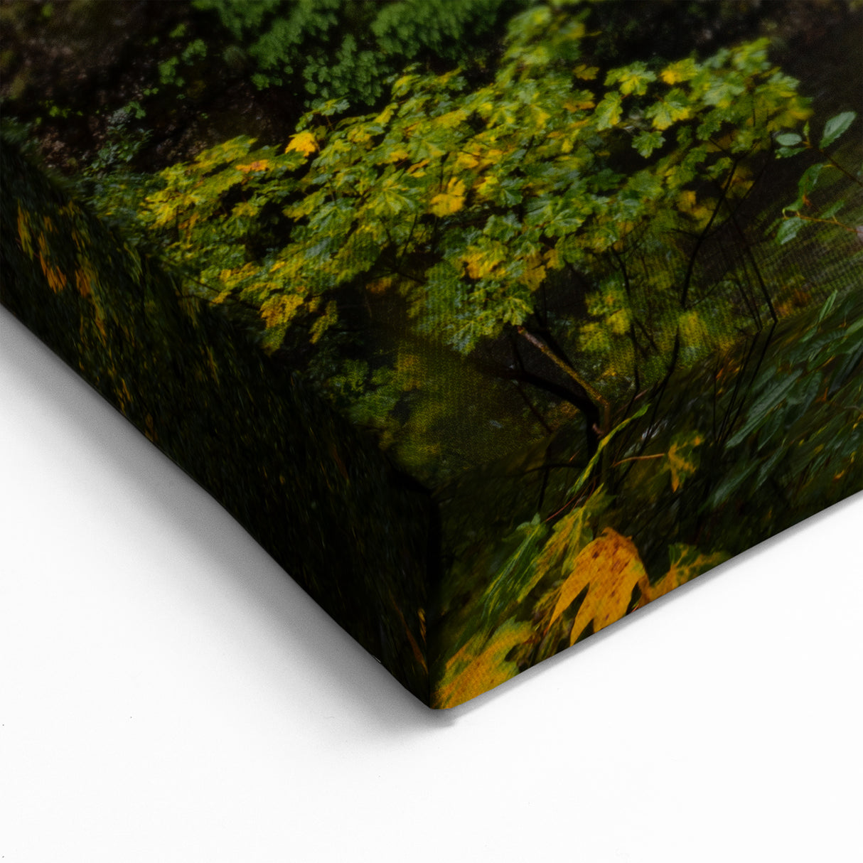 Vibrant Autumn Multnomah Falls Canvas Art - Scenic Yellow Foliage Decor