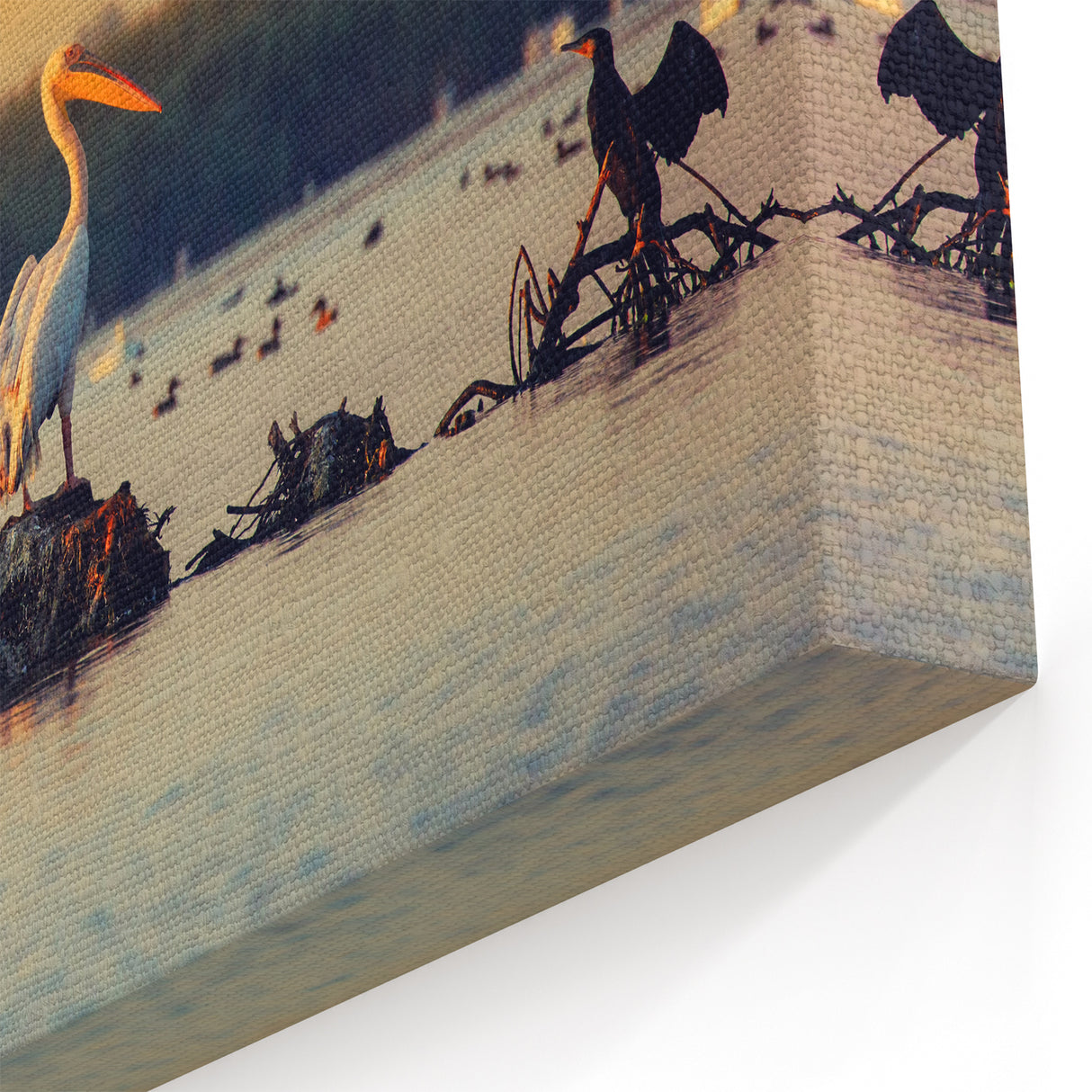 Danube Delta Photography - Pelicans at Sunset Romanian Nature Art