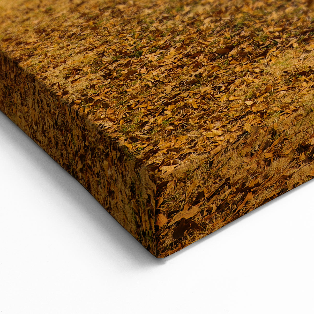 Tennessee Wall Art - Golden Sunset Over Lake and Trees Landscape Canvas