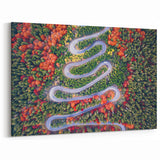 Transylvania Landscape Prints - Serpentine Road Through Autumn Forest