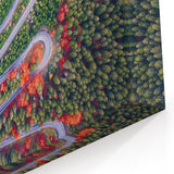 Transylvania Landscape Prints - Serpentine Road Through Autumn Forest