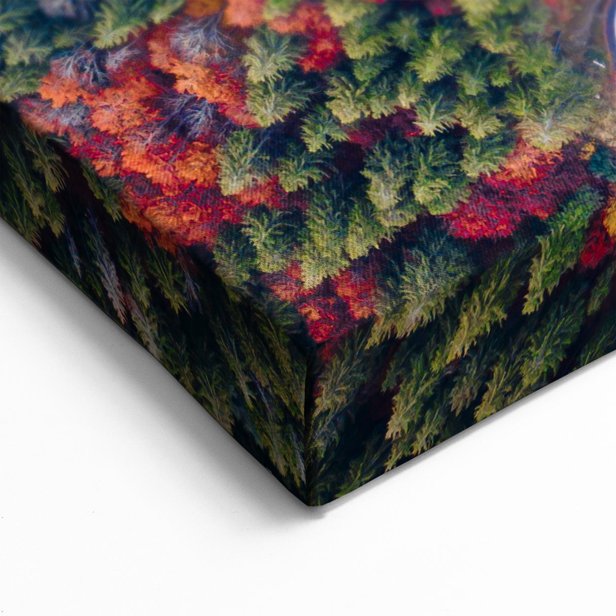 Transylvania Landscape Prints - Serpentine Road Through Autumn Forest