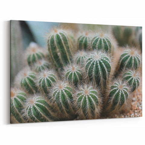 Green Cactus Cluster Farmhouse Wall Art – Rustic Country Decor Print