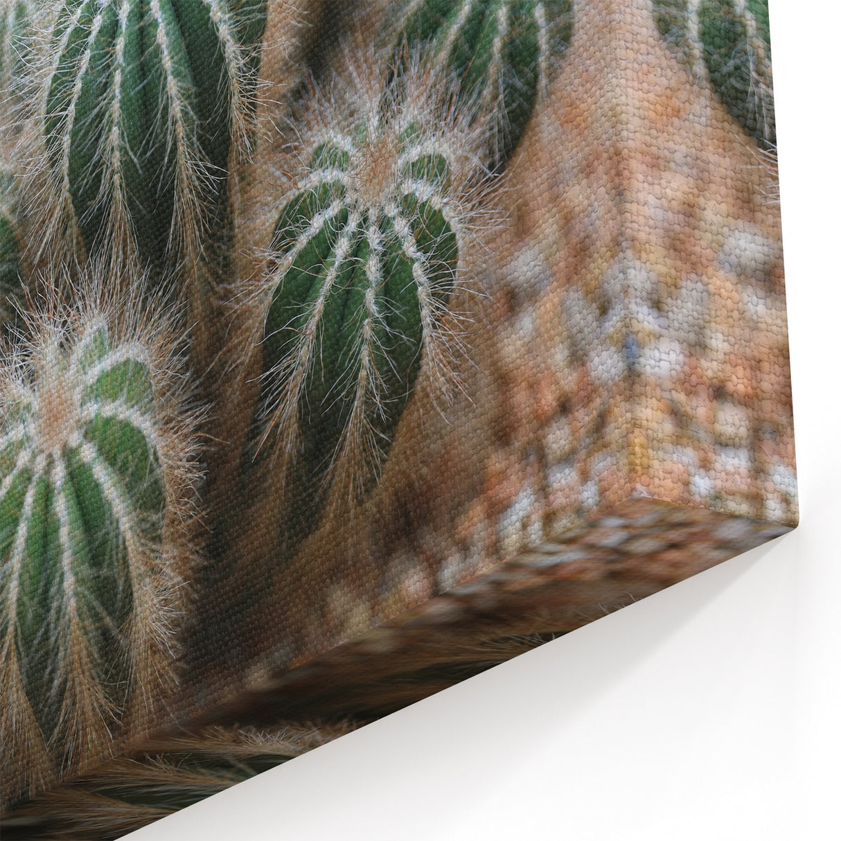 Green Cactus Cluster Farmhouse Wall Art – Rustic Country Decor Print