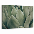 Agave Leaf Farmhouse Wall Art – Rustic Country Style Decor Print