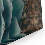 Agave Plant Close-Up Farmhouse Wall Art – Rustic Country Style Decor
