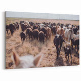 Cattle Herd on the Move Farmhouse Wall Art – Rustic Country Decor Print