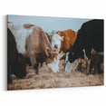 Grazing Cattle Farmhouse Wall Art – Rustic Country Style Decor Print