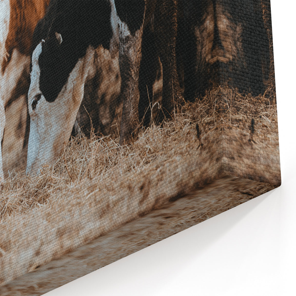 Grazing Cattle Farmhouse Wall Art – Rustic Country Style Decor Print