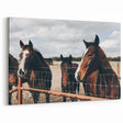 Horses at the Fence Farmhouse Wall Art – Rustic Country Style Print