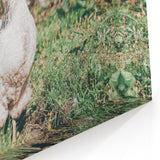 Farmhouse Wall Art: Country Chickens in Garden - Rustic Farmhouse Decor