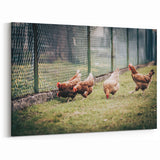 Farmhouse Wall Art: Chickens by Fence - Rustic Country Style Decor Print