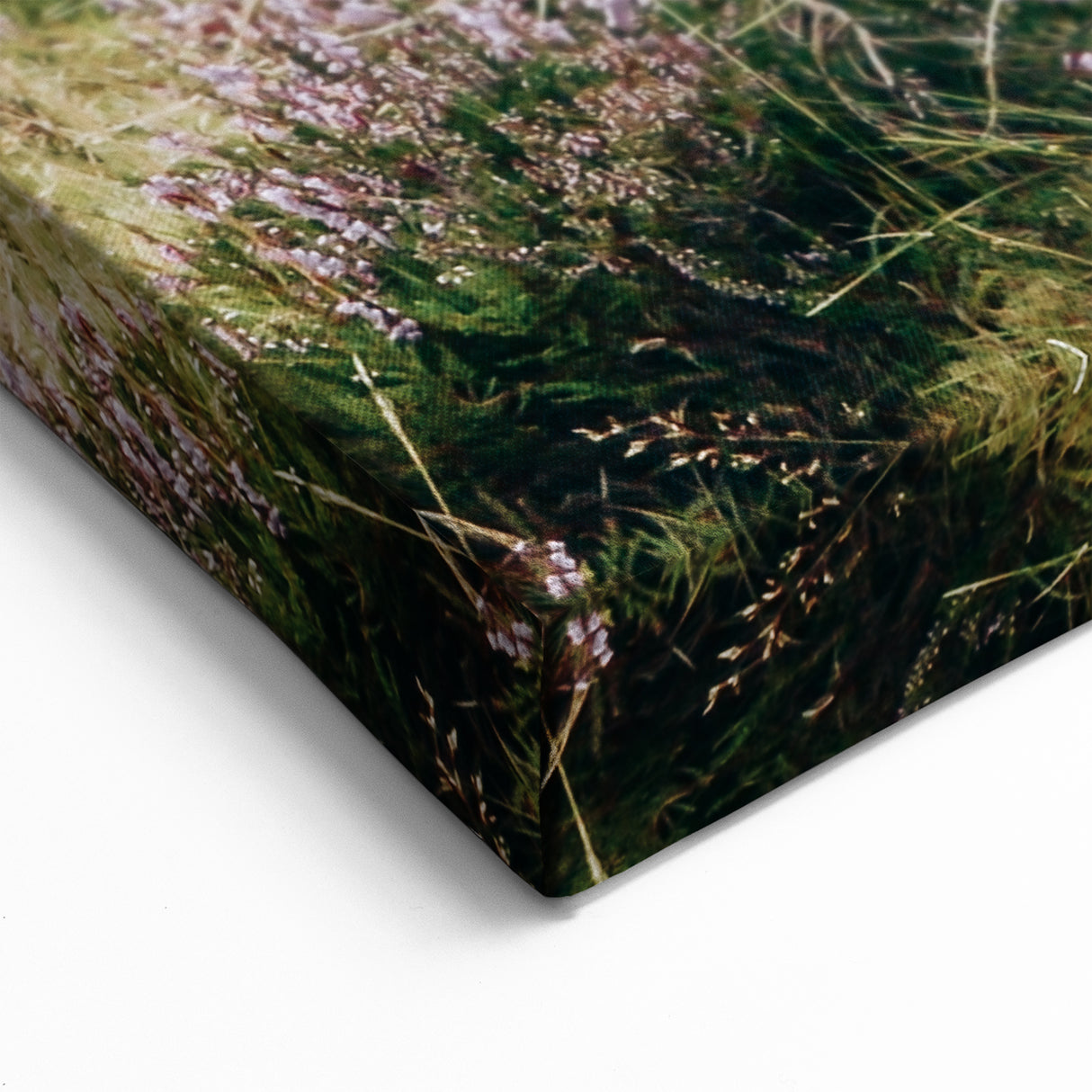 Farmhouse Wall Art: Highland Cow in Meadow - Rustic Country Decor Print