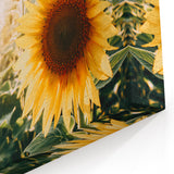 Farmhouse Wall Art: Sunflowers in Bloom - Rustic Country Style Decor Print