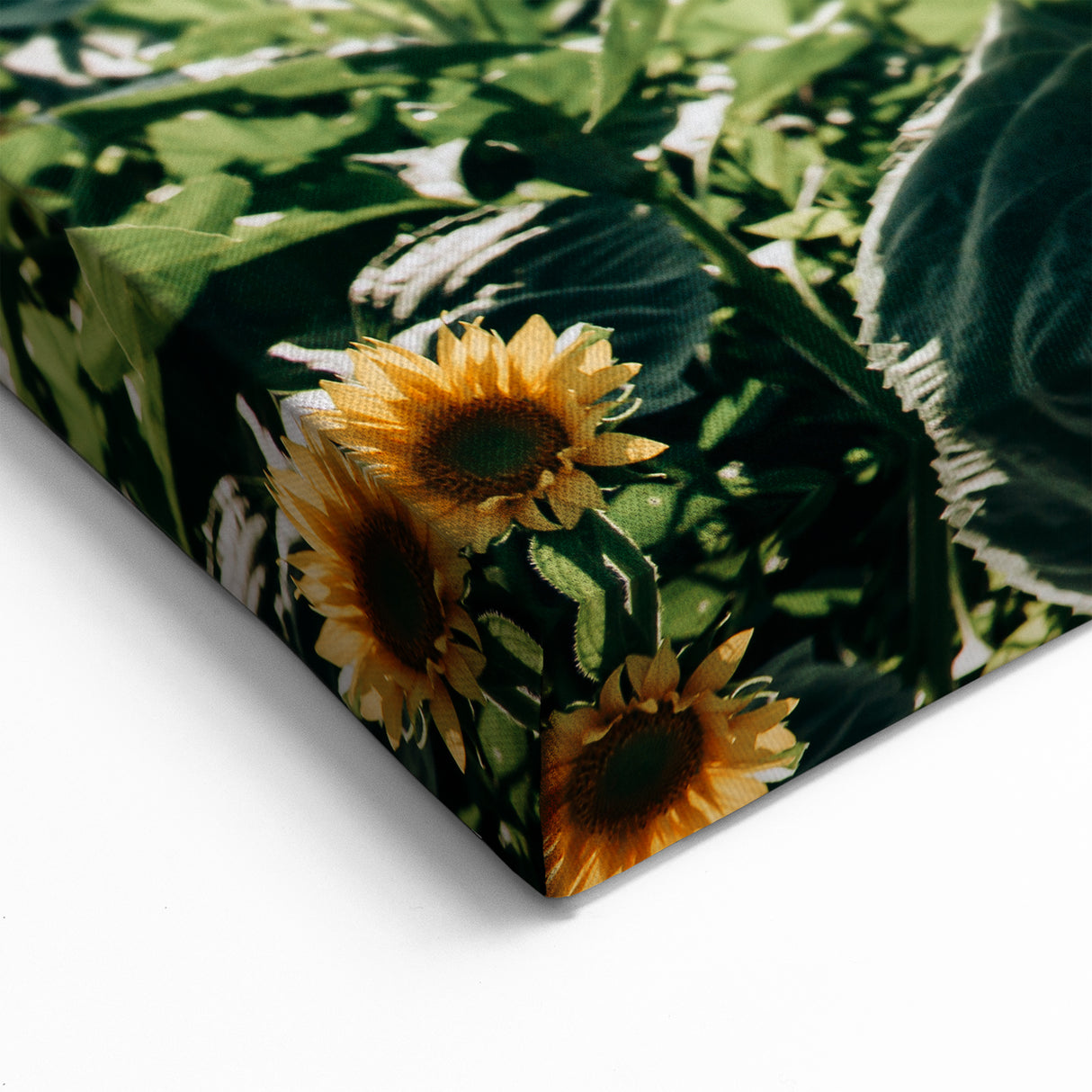 Farmhouse Wall Art: Sunflowers in Summer - Rustic Country Style Decor