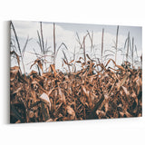 Farmhouse Wall Art: Autumn Corn Stalks - Rustic Country Style Decor Print