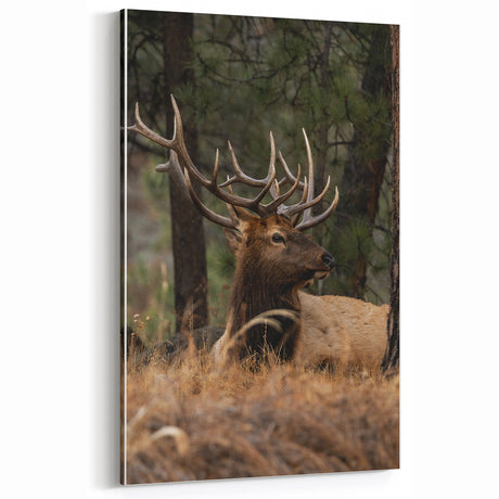 Rustic Elk in Forest - Vintage Wall Decor Print
