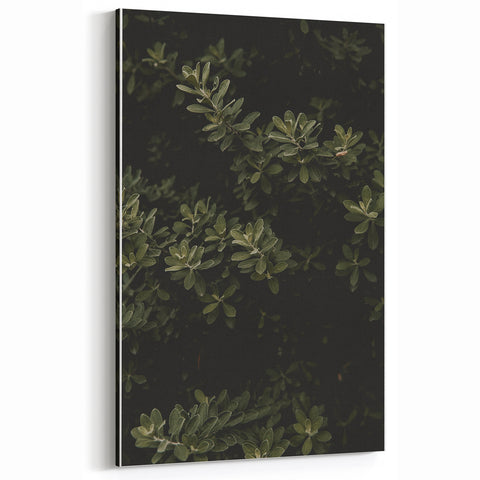 Whispering Greens - Rustic Nature Inspired Art Print