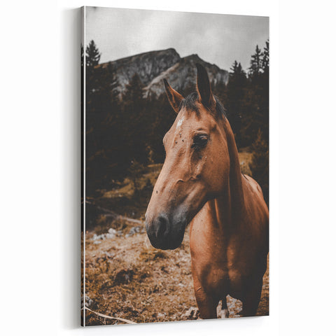 Mountain Majesty - Rustic Horse Portrait Art Print