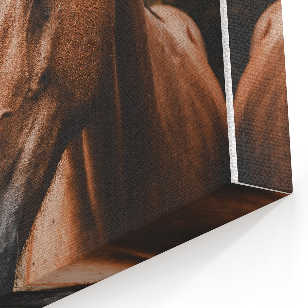 Mountain Majesty - Rustic Horse Portrait Art Print