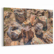 Mount Rushmore Art - Petrified Wood South Dakota Canvas Print