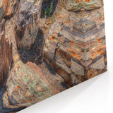 Mount Rushmore Art - Petrified Wood South Dakota Canvas Print