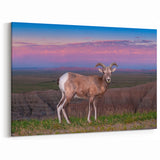 Badlands National Park Art - Scenic South Dakota Bighorn Landscape Print