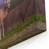 Badlands National Park Art - Scenic South Dakota Bighorn Landscape Print