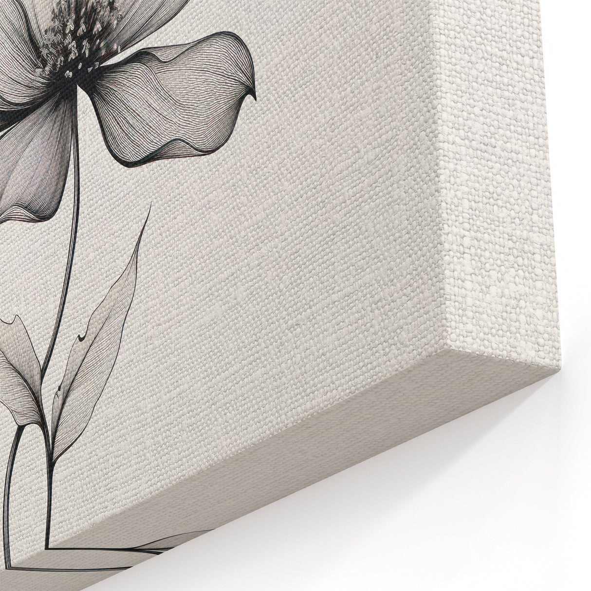 Boho Wall Decor - Delicate Black and White Floral Line Art Bohemian Canvas