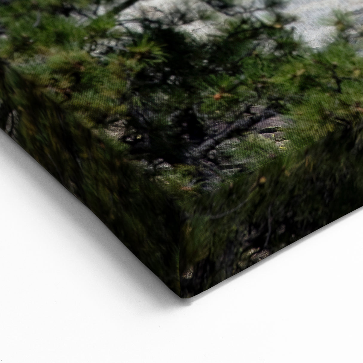 Mt Rushmore Wall Art - Mount Rushmore Canvas Print & Framed Art