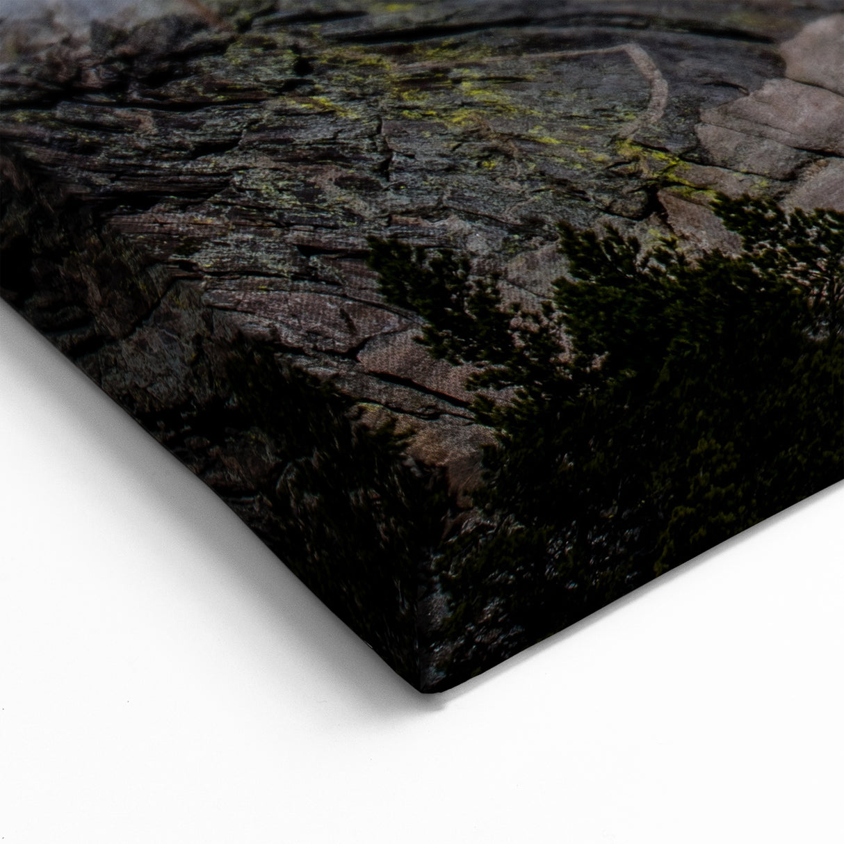 Mt Rushmore Poster - South Dakota Landmark Rolled Canvas & Framed Print