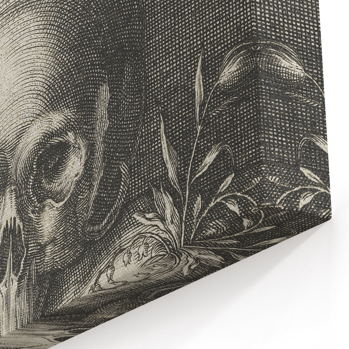 Medieval Memento Mori Gothic Canvas – Vintage Skull Gothic Wall Art