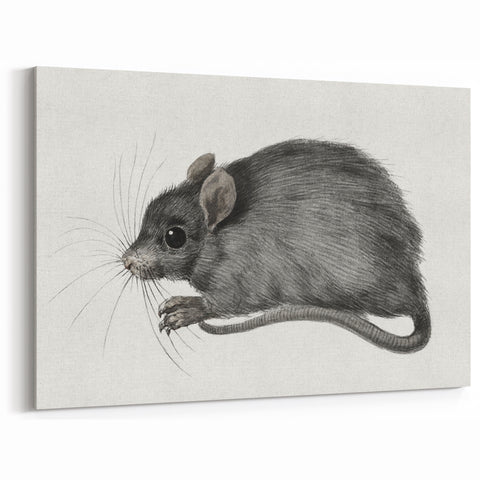Gothic Wall Art - Vintage Mouse Illustration on Medieval Gothic Canvas