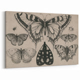 Gothic Artworks - Vintage Insect Illustration on Medieval Gothic Canvas