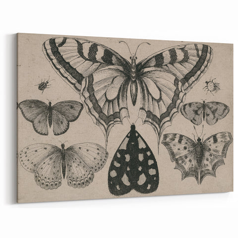 Gothic Artworks - Vintage Insect Illustration on Medieval Gothic Canvas