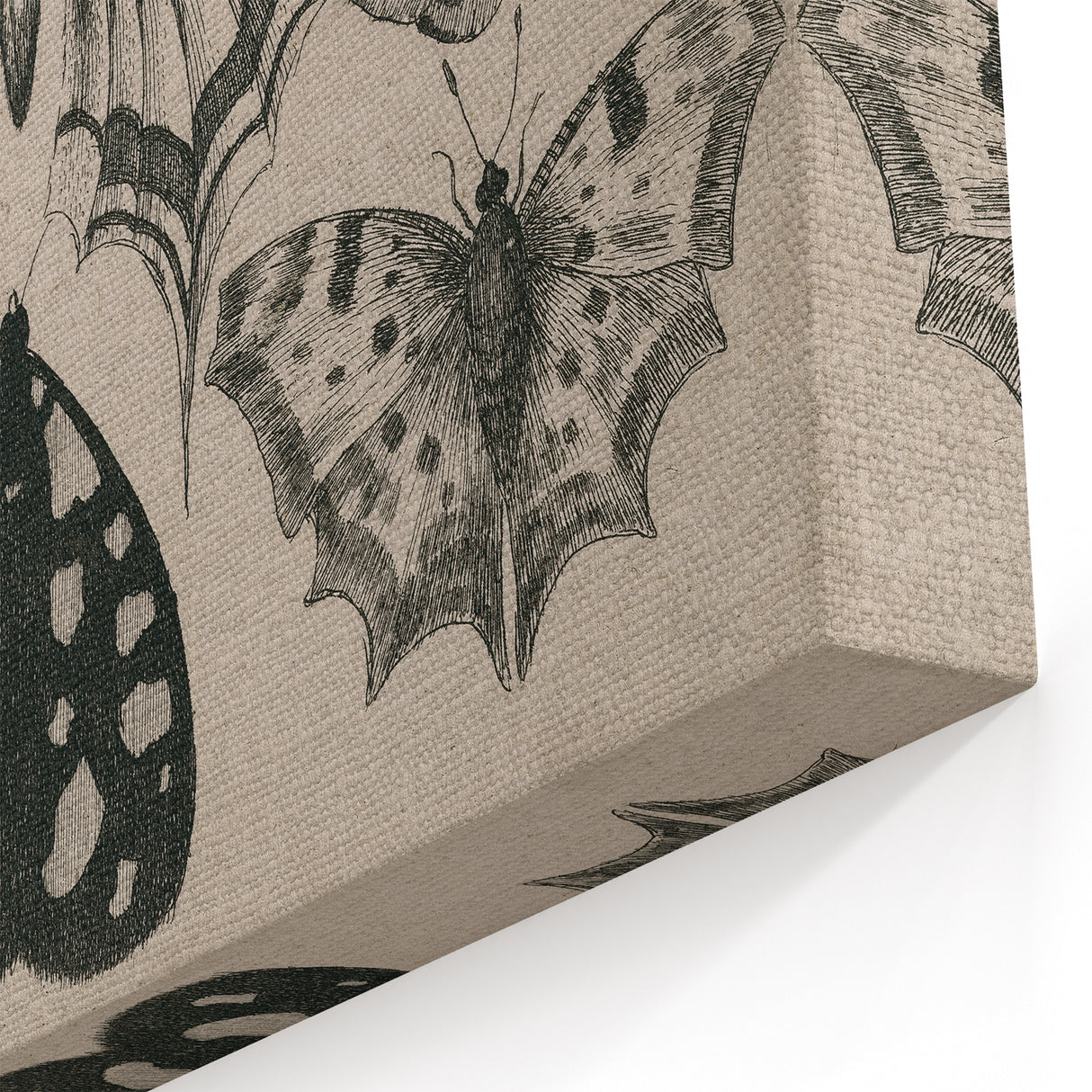 Gothic Artworks - Vintage Insect Illustration on Medieval Gothic Canvas
